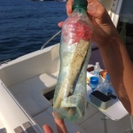  Руски туристки намериха писмо в бутилка край Ропотамо