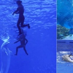 В Китай откриха огромен аквариум на над 2200 м надморска височина