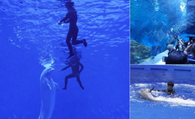 В Китай откриха огромен аквариум на над 2200 м надморска височина