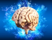 Учени откриха, че човешкият мозък продължава да работи дълго след смъртта