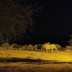 Още 10 дни шанс за участие в Международния фотографски конкурс на Huawei InFocus Awards 