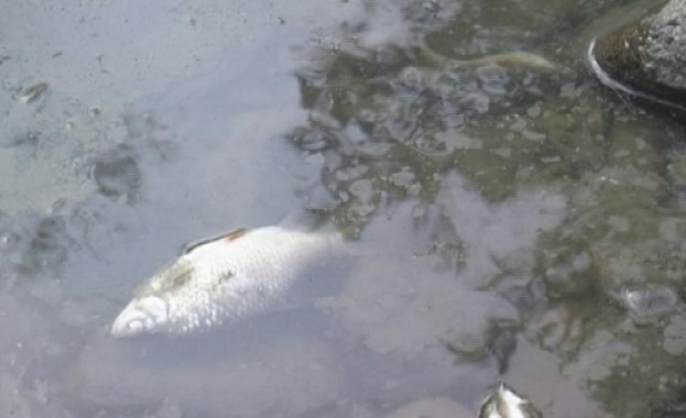 Полицията се самосезира за замърсяване на река Струма в района