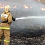 "Грийнпийс": В Сибир горят над 4.3 милиона хектара 