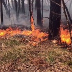 Над 20 милиона евро костват на руската хазна пожарите в Сибир