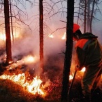 Разрастват се горските пожари в Сибир