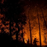 Русия разследва умишлено причиняване на пожарите в Сибир