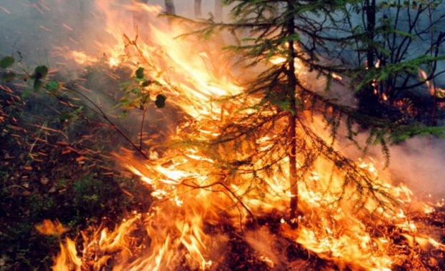 Няколко големи пожара горят в Хасковско
