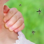 Трима души заразени със западнонилска треска в Словения