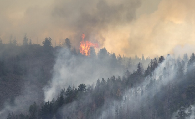 Военни гасят горския пожар в Хасковско