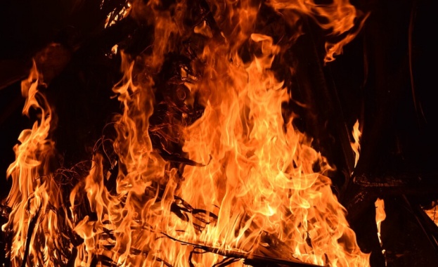  Овладян е пожарът в Хасковско, в Шишманци още гори