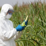 Monsanto плащали на Google, за да потулят критики