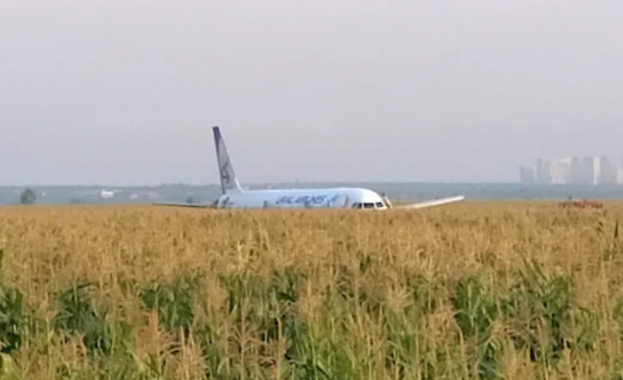 Пътнически Airbus направи аварийно кацане в Подмосковието  (снимки+видео)