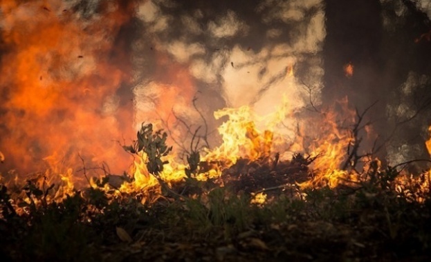 Голям пожар бушува край Охрид