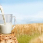 Асоциацията на потребителите иска проверка на цените на млякото