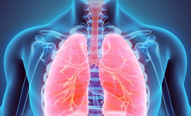 Поддържането на белите дробове в добро здраве е от голямо