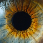 Huawei представя новата си кампания „Истински истории“