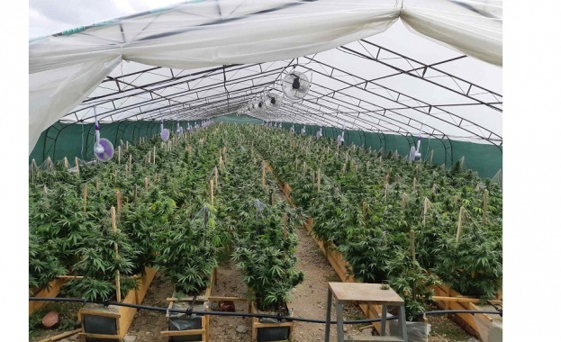 Служители на сектор Противодействие на криминалната престъпност при ОД на