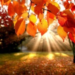 Силен е този