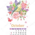 Предстоящи събития в страната за 17 октомври