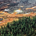 Разговор с академик А. Г. Чучалин, член на Руската академия на медицинските науки