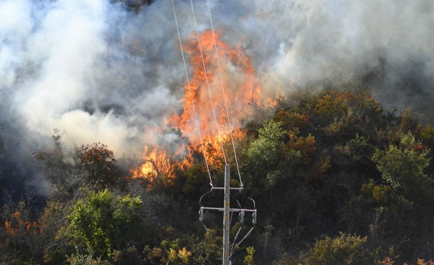 Турция връща смъртното наказание заради горските пожари 