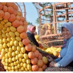 Руски туроператори препоръчват Турция за евтина почивка по празниците