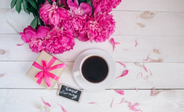 Преглед на печата за 11 ноември