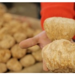 Бял трюфел беше продаден за 120 000 евро