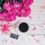 Преглед на печата за 11 ноември