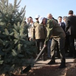 На 11 ноември Турция засади 11 млн. дръвчета 