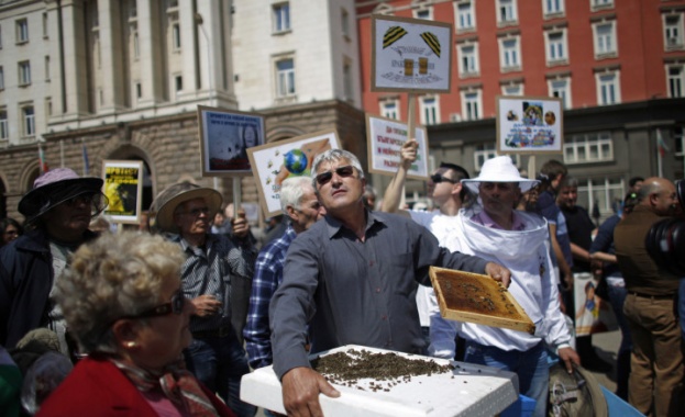 Пчелари излизат на протест срещу употребата на пестициди в земеделието