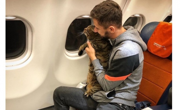 Руснак загуби самолетните си бонуси, излъгал за теглото на дебелия си котарак