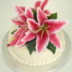 Родени на 14 ноември