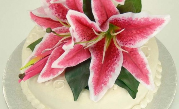 Родени на 14 ноември