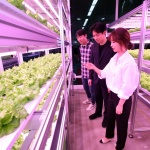 Ферма под метрото: Мисията възможна