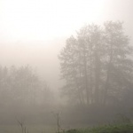 Намалена видимост утре сутринта