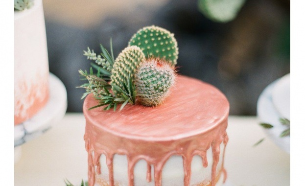 Родени на 21 ноември 