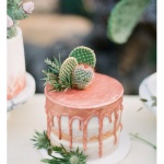 Рождениците на 23 ноември