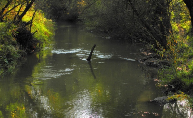 Приливна вълна на река Въча до Кричим отнесе рибар Инцидентът