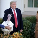 Манто от велур избра Мелания за традиционното помилване на пуйката