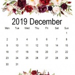 Предстоящи събития в страната на 29 декември