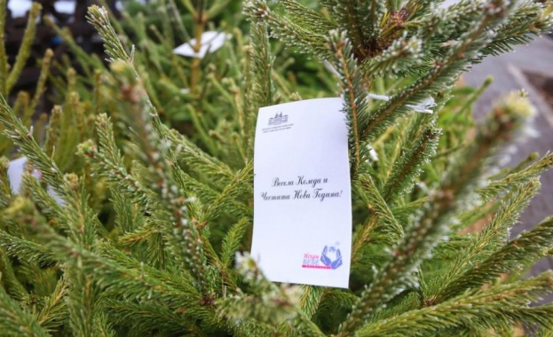 В списъка с поскъпващи артикули попадна и коледното дръвче Колкото