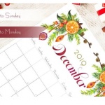 Предстоящи събития в страната на 9 декември