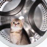 Какво не бива да перете в пералнята