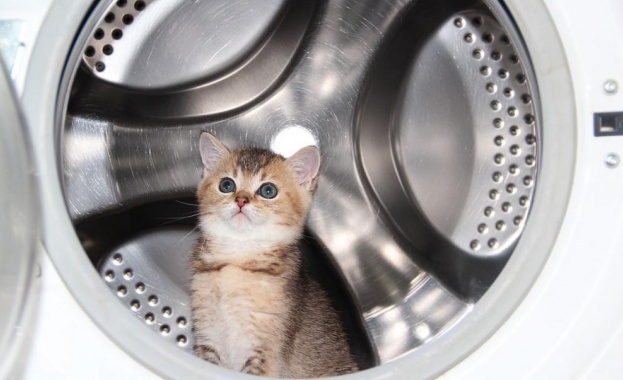 Коте се „изкъпа“ в пералня 