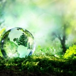 Истинският философ е...