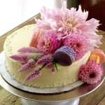 Родени на 27 юни 