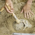 Дъвка на 5700 години разкрива уникални тайни