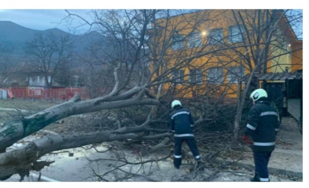 Вятър с бурни пориви създаде проблеми в Западна България