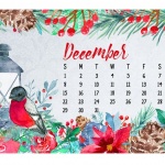 Предстоящи събития в страната за 28 декември